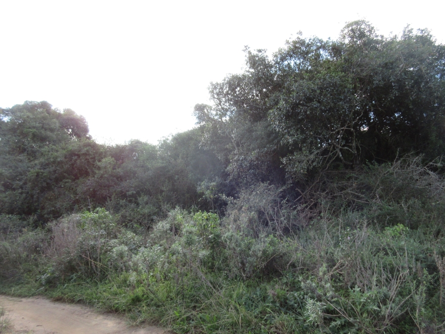 0 Bedroom Property for Sale in Bathurst Eastern Cape